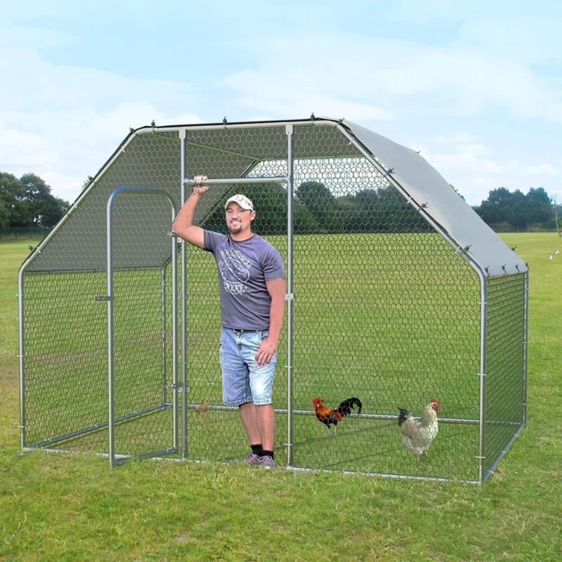 Brightling Chicken Run