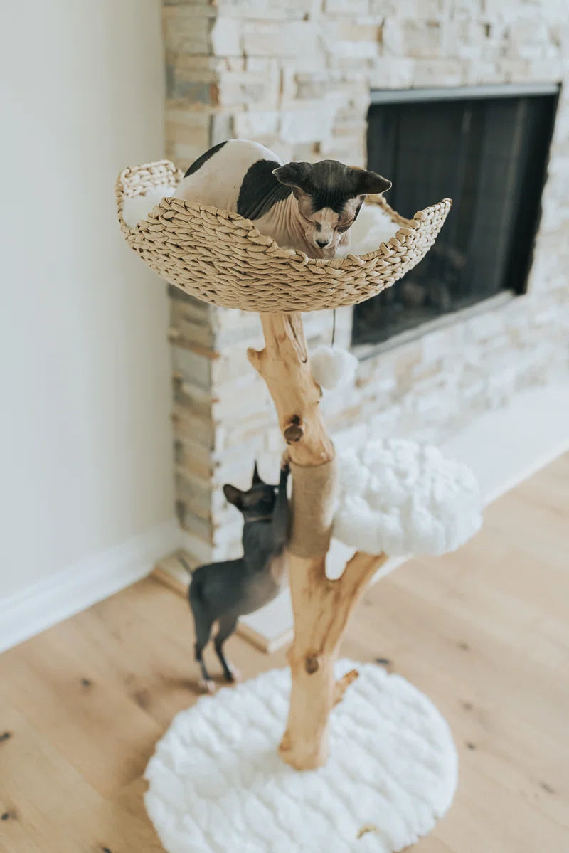 Lina 46'' H Cat Tree