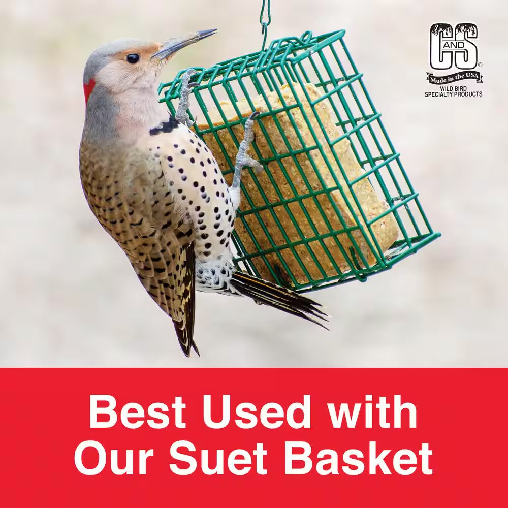 Hot Pepper Delight 0.7 Lbs. Wild Bird Suet