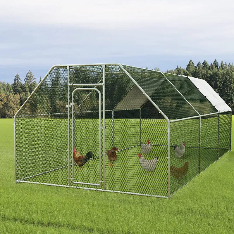 Brightling Chicken Run