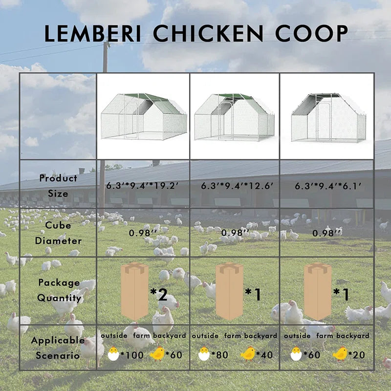 Brightling Chicken Run
