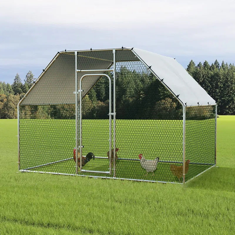 Brightling Chicken Run