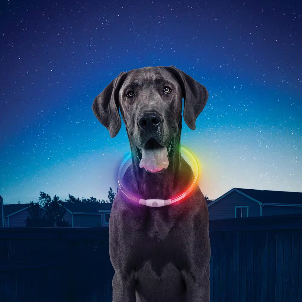 Nitehowl LED Rechargeable Safety Necklace, Disc-O Select