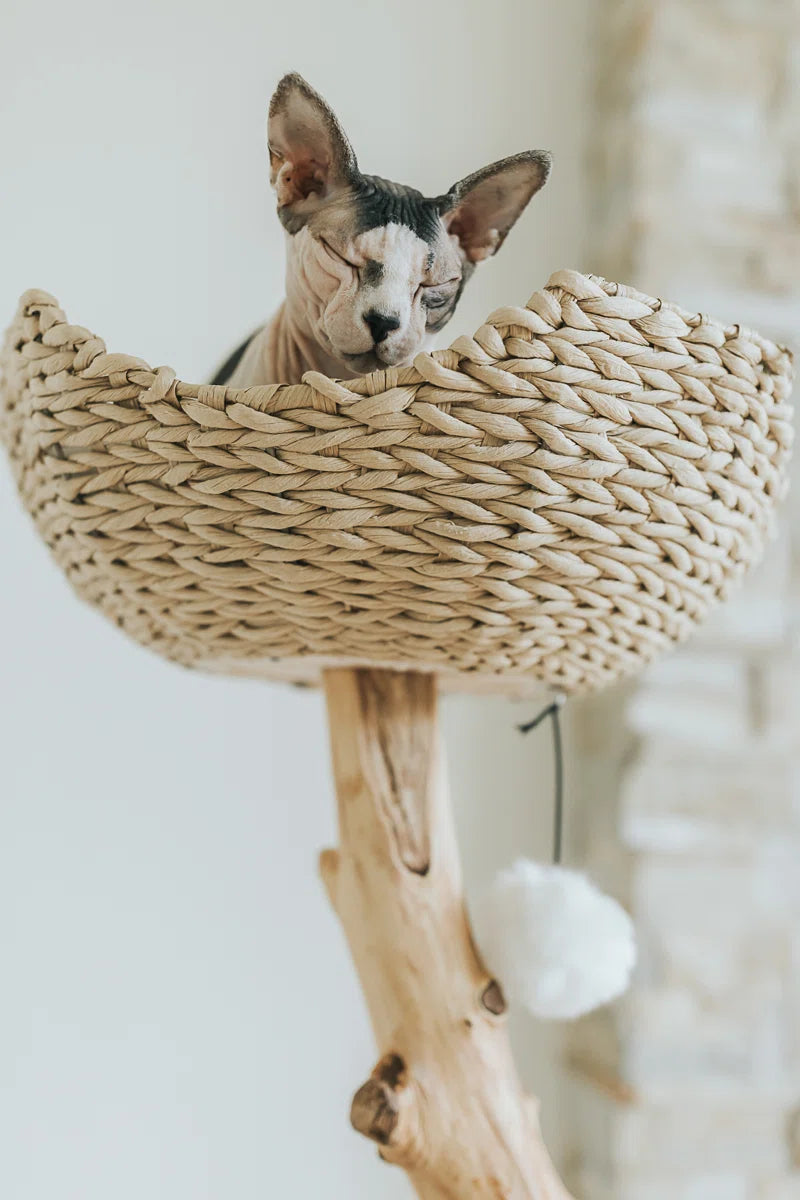 Lina 46'' H Cat Tree