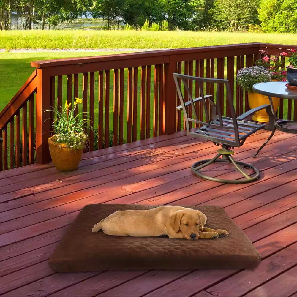 Large Chocolate Waterproof Pet Bed