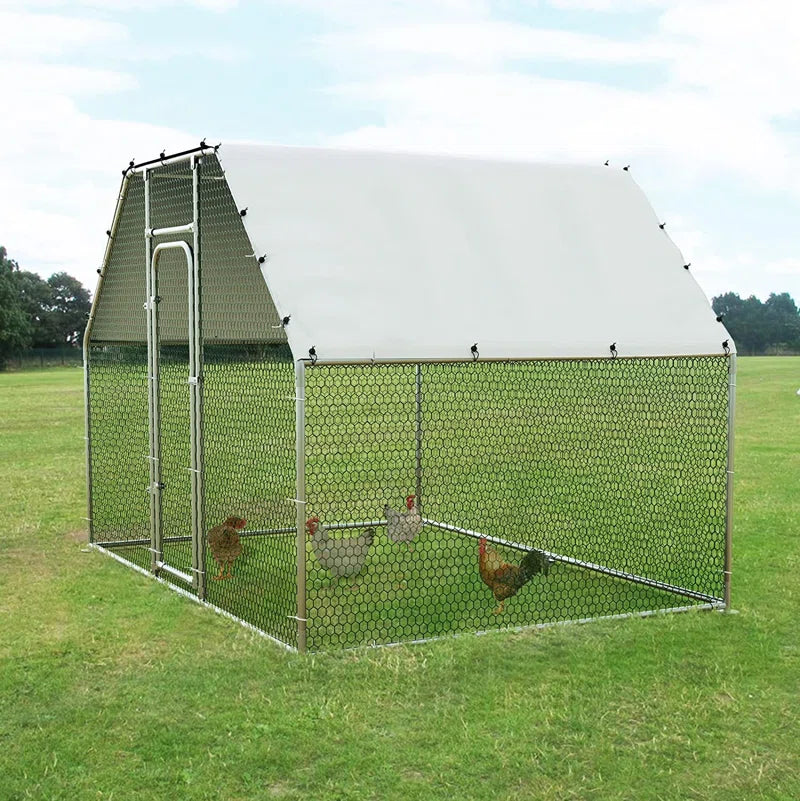 Brightling Chicken Run
