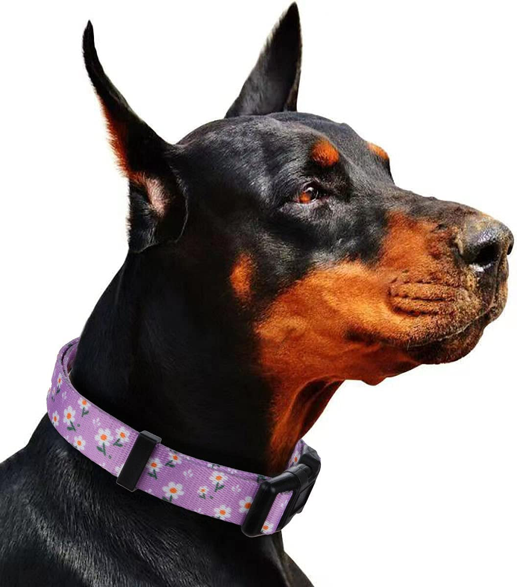 Daisy Girl Dog Collars, Floarl Design for Small Dogs, Purple