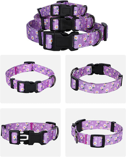 Daisy Girl Dog Collars, Floarl Design for Small Dogs, Purple