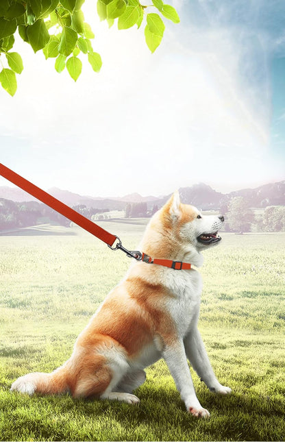 15Ft 20Ft 30Ft 40Ft 50Ft Long Dog/Puppy Lead Obedience Recall Training Dog Leashes for Small Medium Dogs Camping, Training, Play, or Backyard (20 FT, Orange)