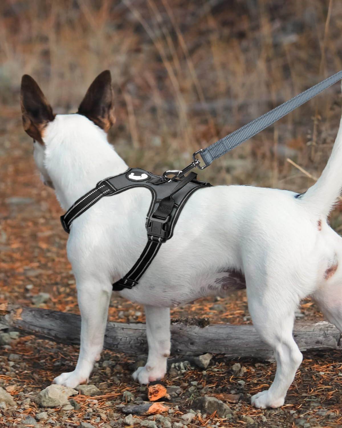 Double-Sided Reflective Dog Leash, 6 FT/5 FT/4 FT, Padded Handle Nylon Heavy Duty Leashes for Small & Medium Dogs Walking, Gray, 5FT