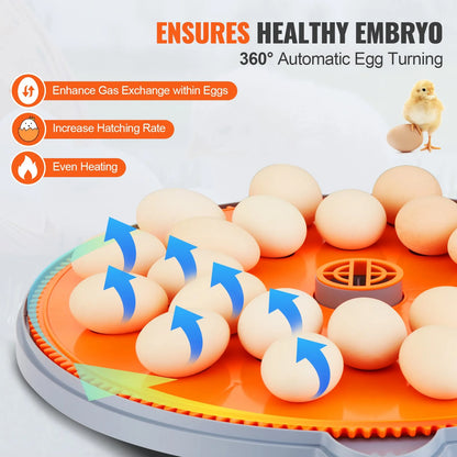 VEVOR Egg Incubator, Incubators for Hatching Eggs, Automatic Egg Turner with Temperature and Humidity Control, 24 Eggs Poultry Hatcher with ABS Transparent Shell for Chicken, Duck, Quail