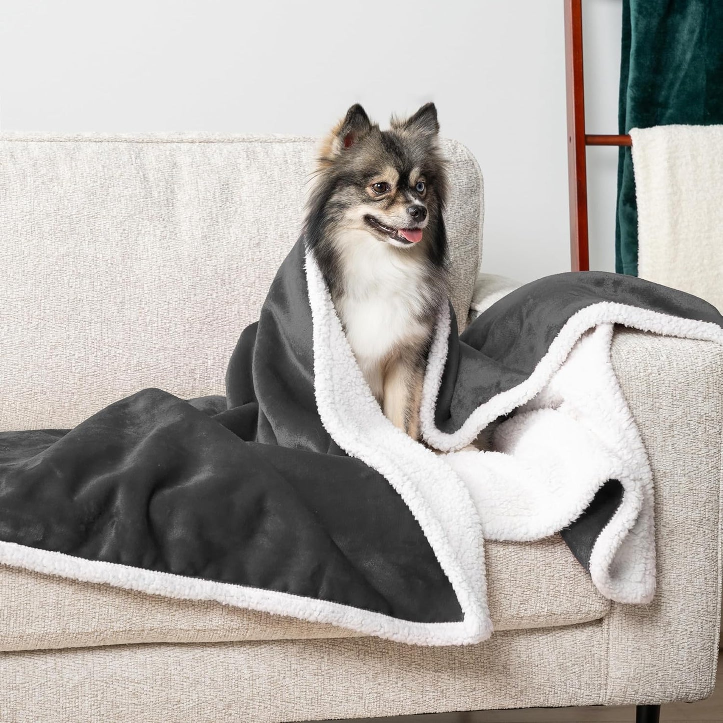 Waterproof Dog Blanket for Small Medium Dog, Pet Puppy Blanket Couch Cover Protection, Sherpa Fleece Cat Blanket Washable Throw Couch Sofa Bed Furniture Protector Reversible Soft 29X40 Charcoal