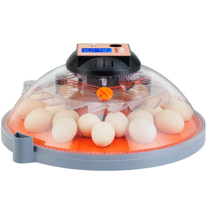 VEVOR Egg Incubator, Incubators for Hatching Eggs, Automatic Egg Turner with Temperature and Humidity Control, 24 Eggs Poultry Hatcher with ABS Transparent Shell for Chicken, Duck, Quail