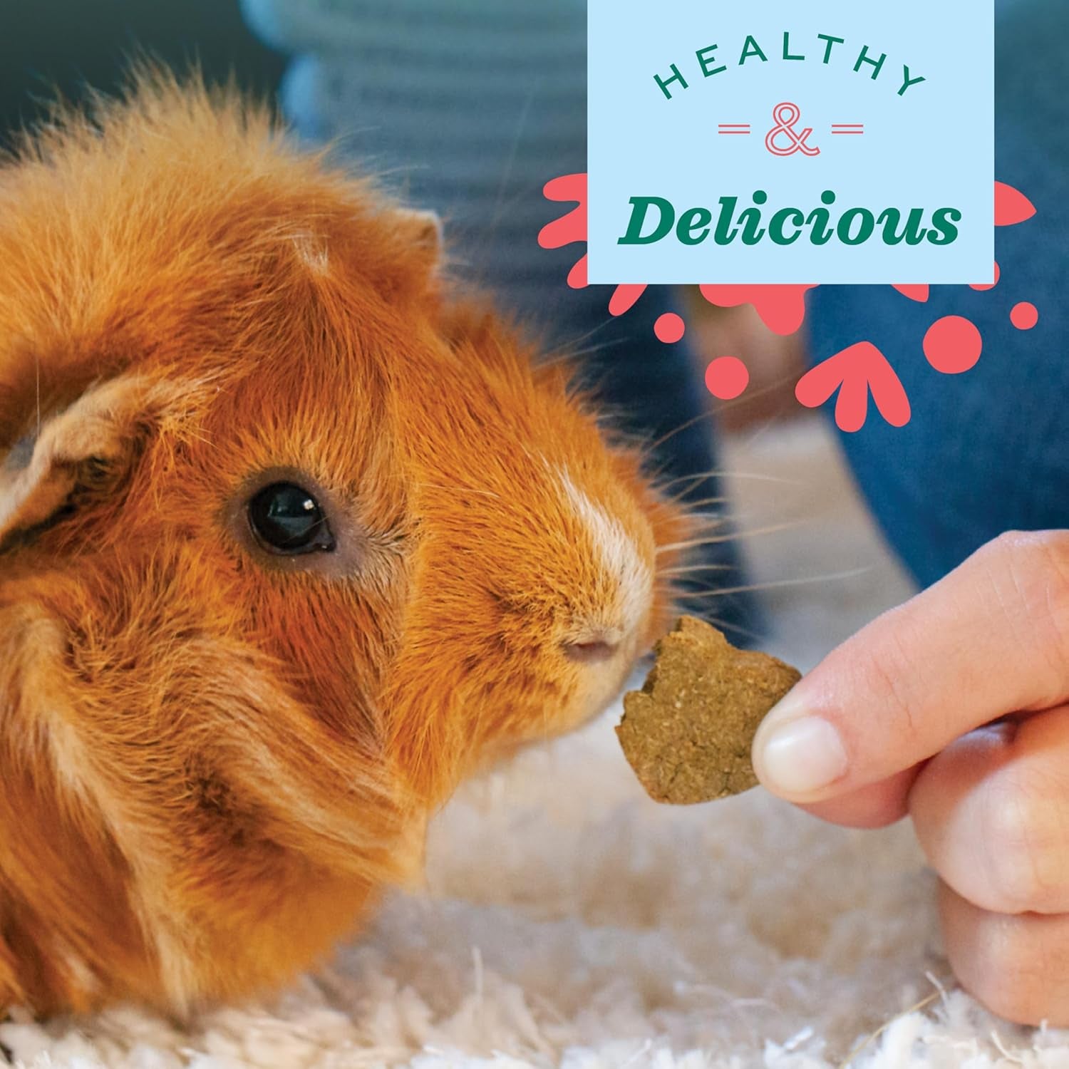 Organic Rewards Barley and Hay Biscuit Treats for Rabbits, Guinea Pigs, Chinchillas, and Small Pets