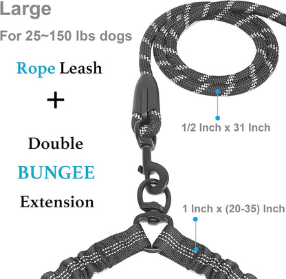 Dual Dog Leash, Double Dog Leash, 360 Swivel No Tangle Walking Leash, Shock Absorbing Bungee for Two Dogs, Black, Large (25-150 Lbs)